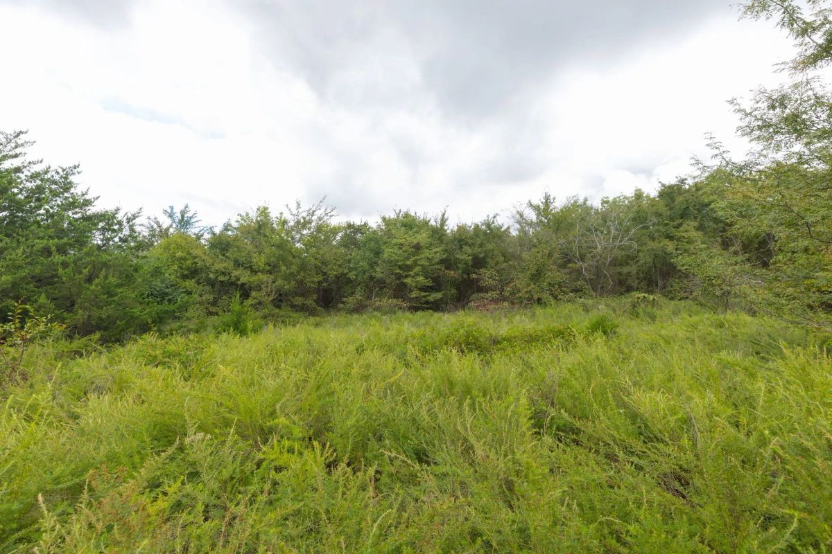 Reserves At Cattail Cove Phase II Tract 87 - Image 4