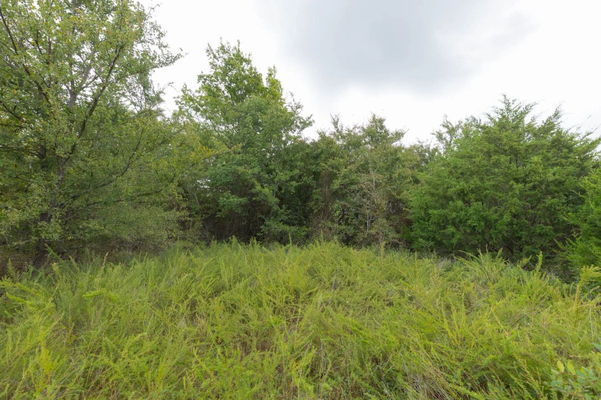 Decorative background for Reserves At Cattail Cove Phase II Tract 87 image 5