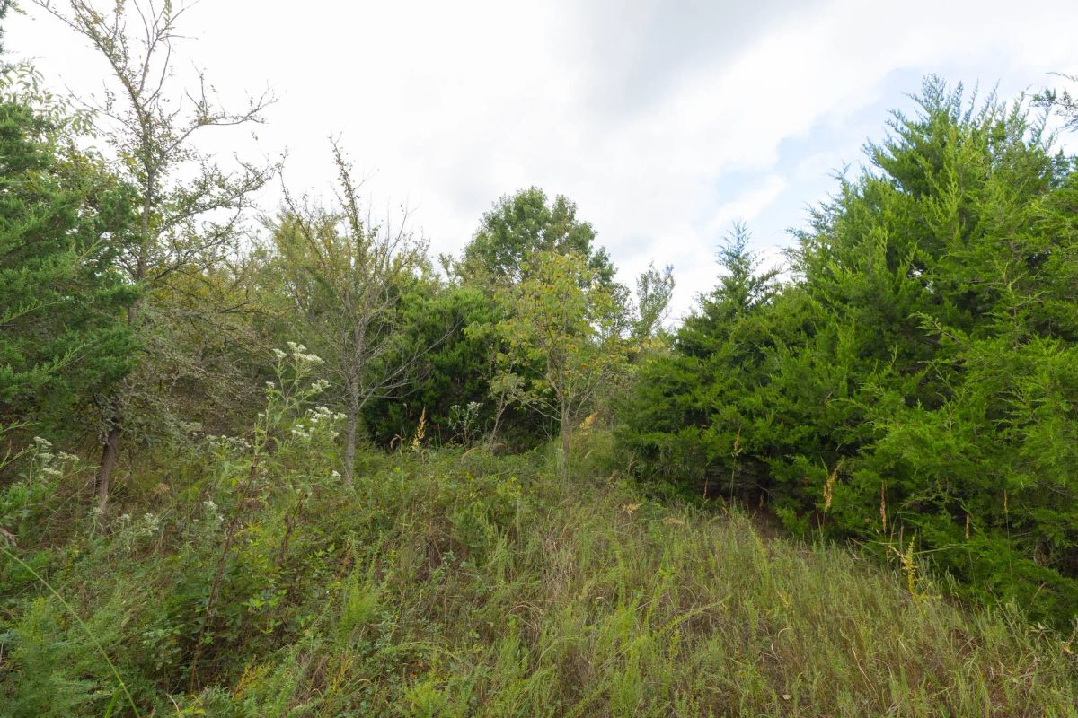 Decorative background for Reserves At Cattail Cove Phase II Tract 87 image 7