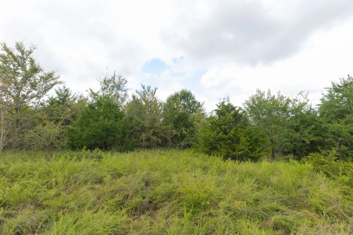 Decorative background for Reserves At Cattail Cove Phase II Tract 87 image 8