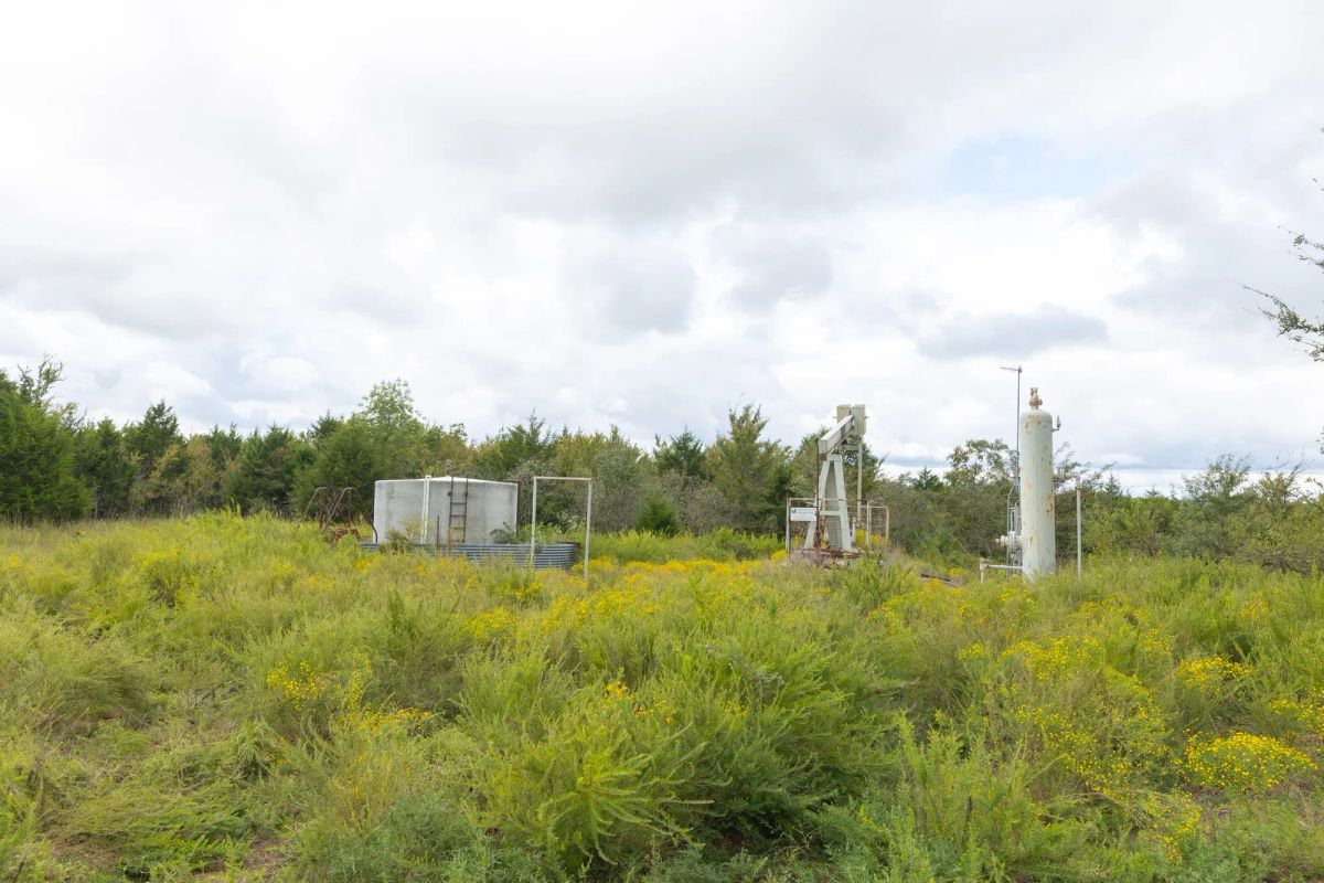 Decorative background for Reserves At Cattail Cove Phase II Tract 87 image 9