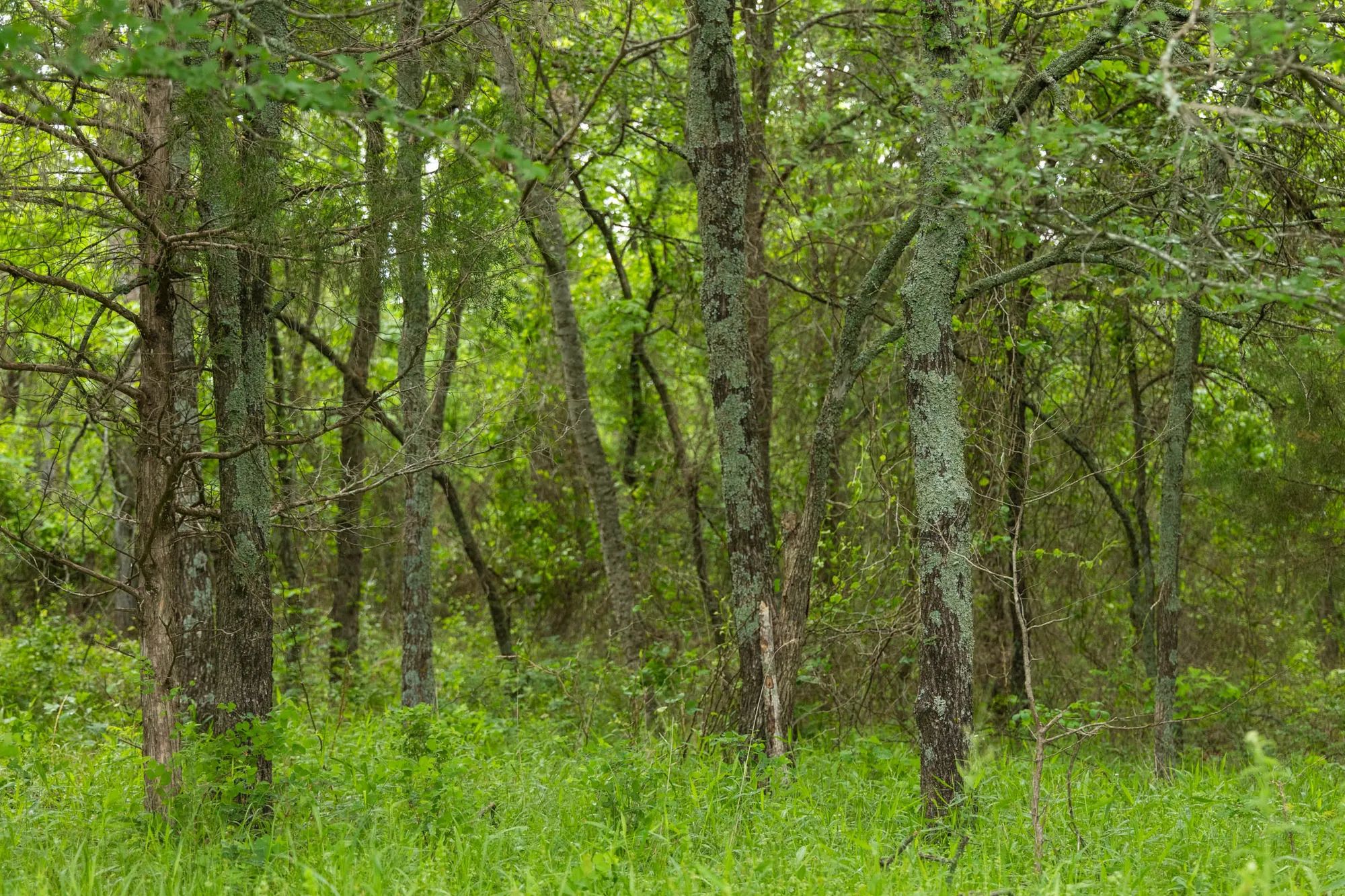 Harmony Hills Tract 9 in Pittsburg County, OK