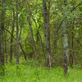 Harmony Hills Tract 9 in Pittsburg County, OK
