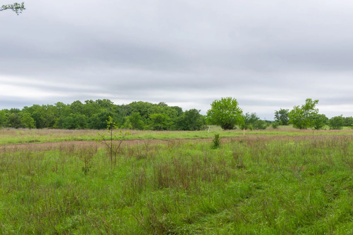 Decorative background for Harmony Hills Tract 9 image 5