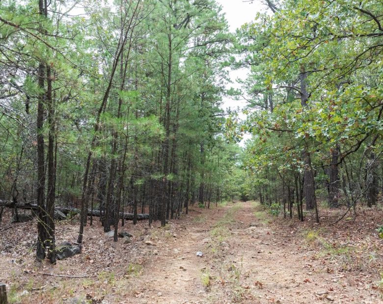 Stone Bridge Phase V Tract 401 in Latimer County, OK