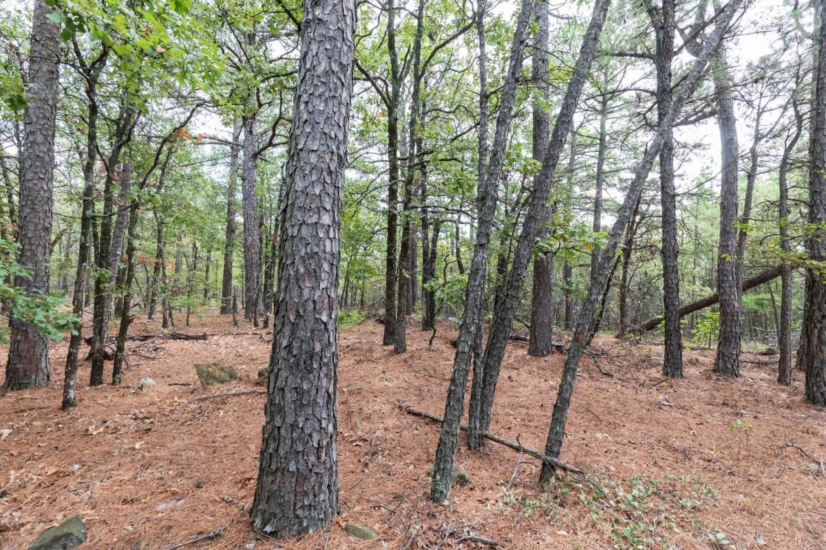 Stone Bridge Phase V Tract 401 - Image 2