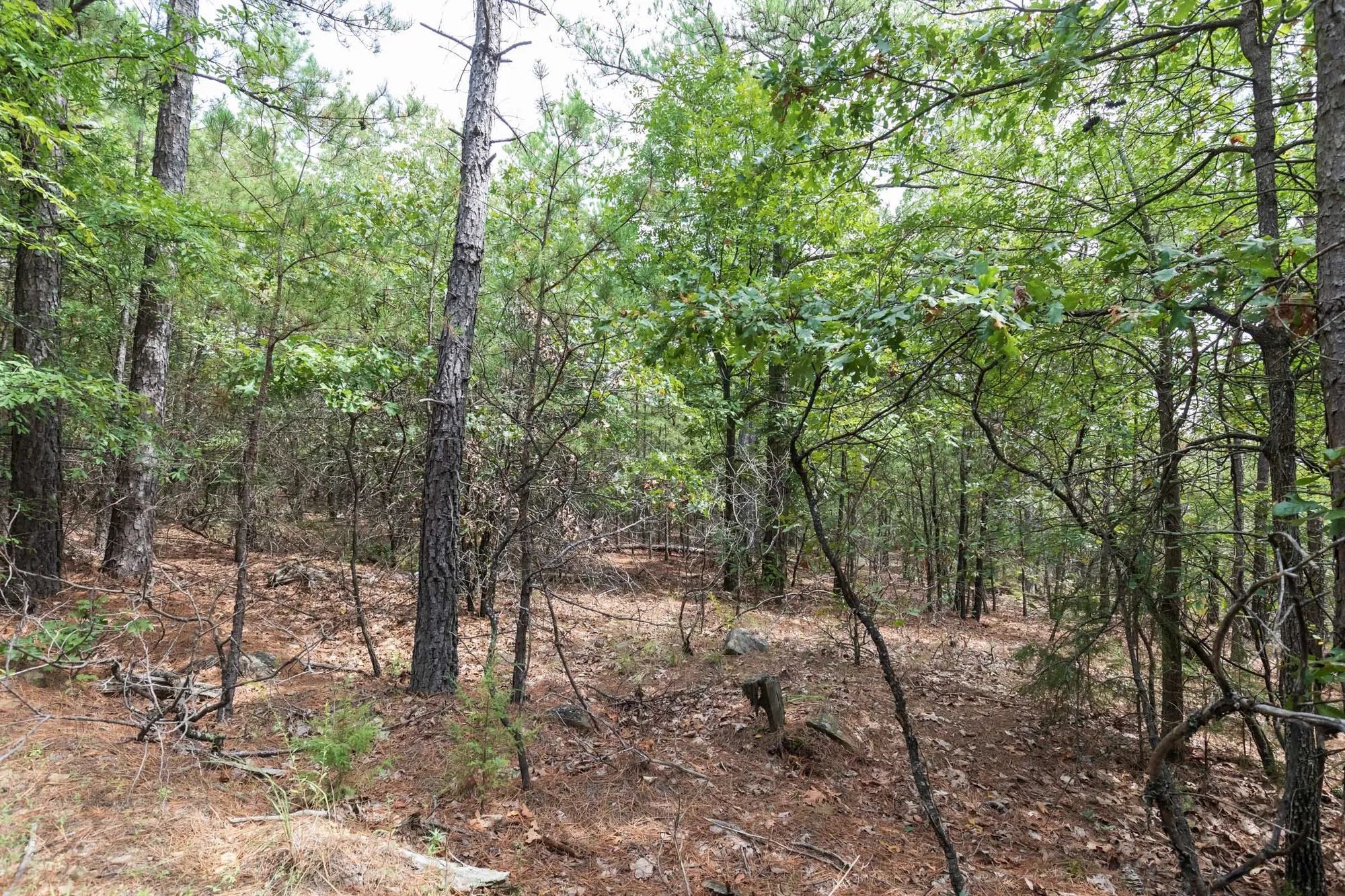 Stone Bridge Phase V Tract 401 in Latimer County, OK