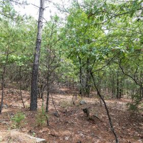 Stone Bridge Phase V Tract 401 in Latimer County, OK