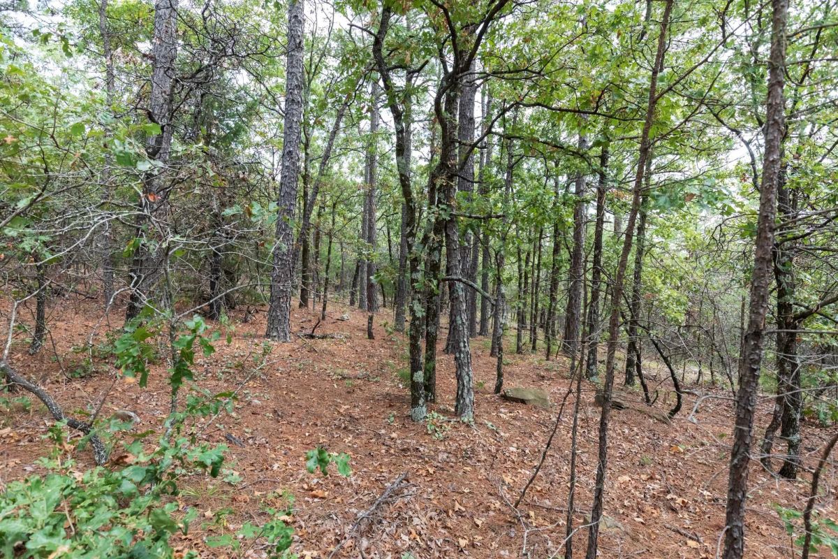 Stone Bridge Phase V Tract 401 - Image 4