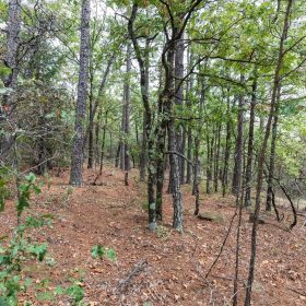 Stone Bridge Phase V Tract 401 in Latimer County, OK