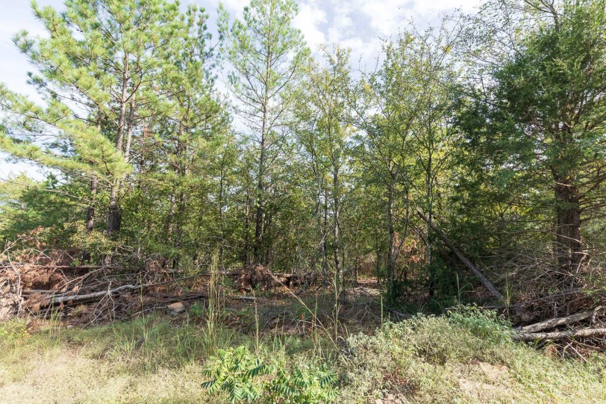 Decorative background for Stone Bridge Phase V Tract 401 image 7