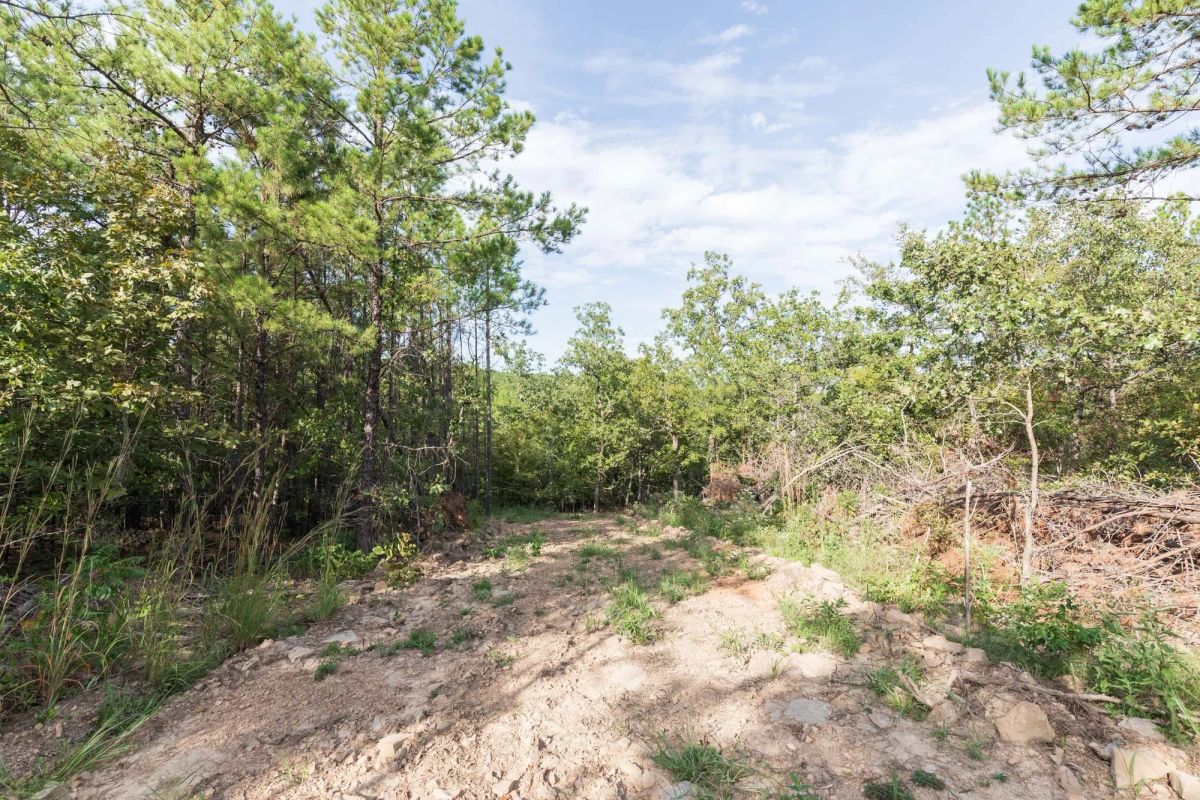 Decorative background for Stone Bridge Phase V Tract 401 image 8