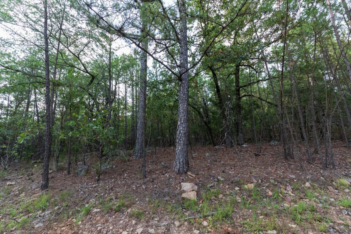 Decorative background for Stone Bridge Phase V Tract 401 image 9