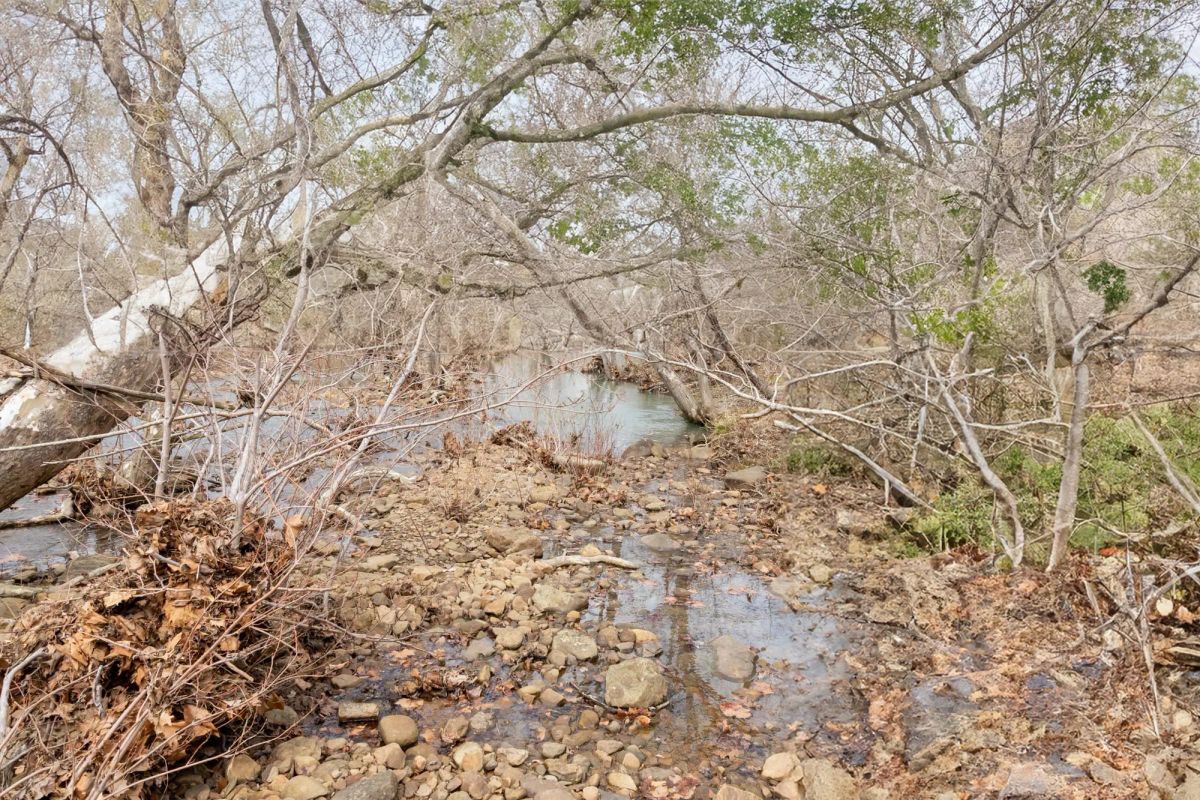Decorative background for Stone Bridge Phase V Tract 401 image 11