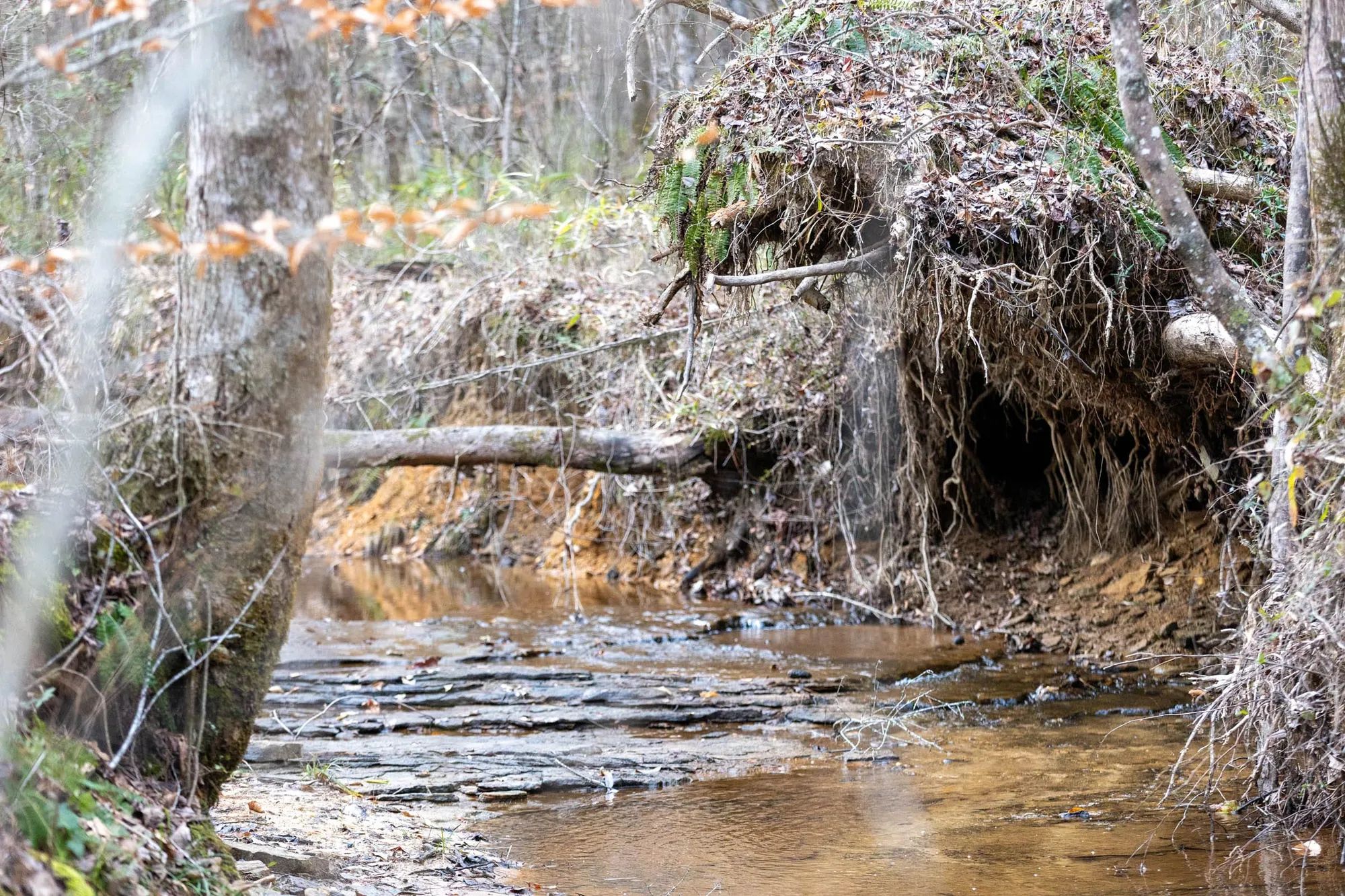 Baker Creek Tract 9 in Fayette County, AL