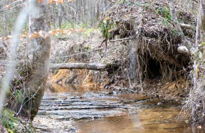 Baker Creek Tract 9