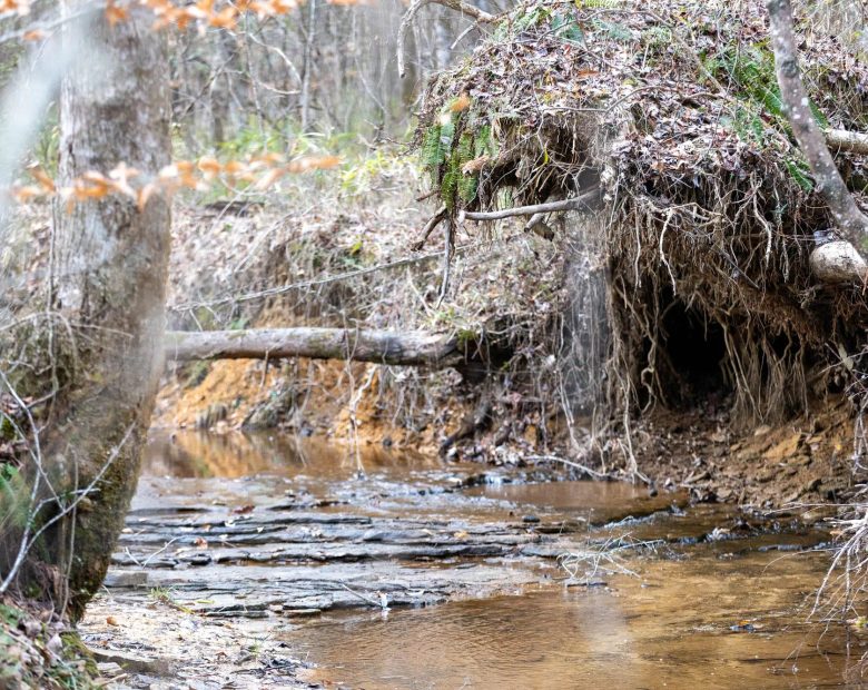Baker Creek Tract 9 in Fayette County, AL