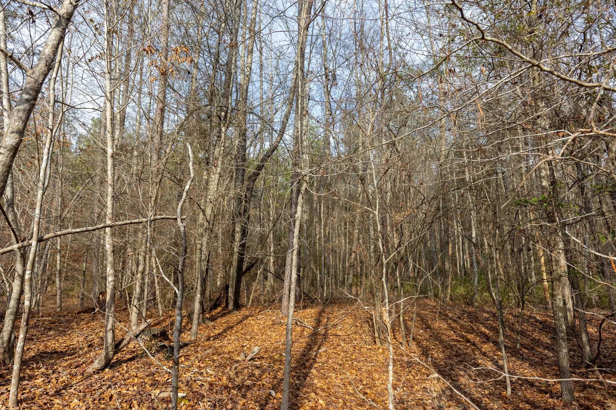 Baker Creek Tract 9 in Fayette County, AL