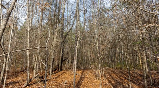 Baker Creek Tract 9 in Fayette County, AL