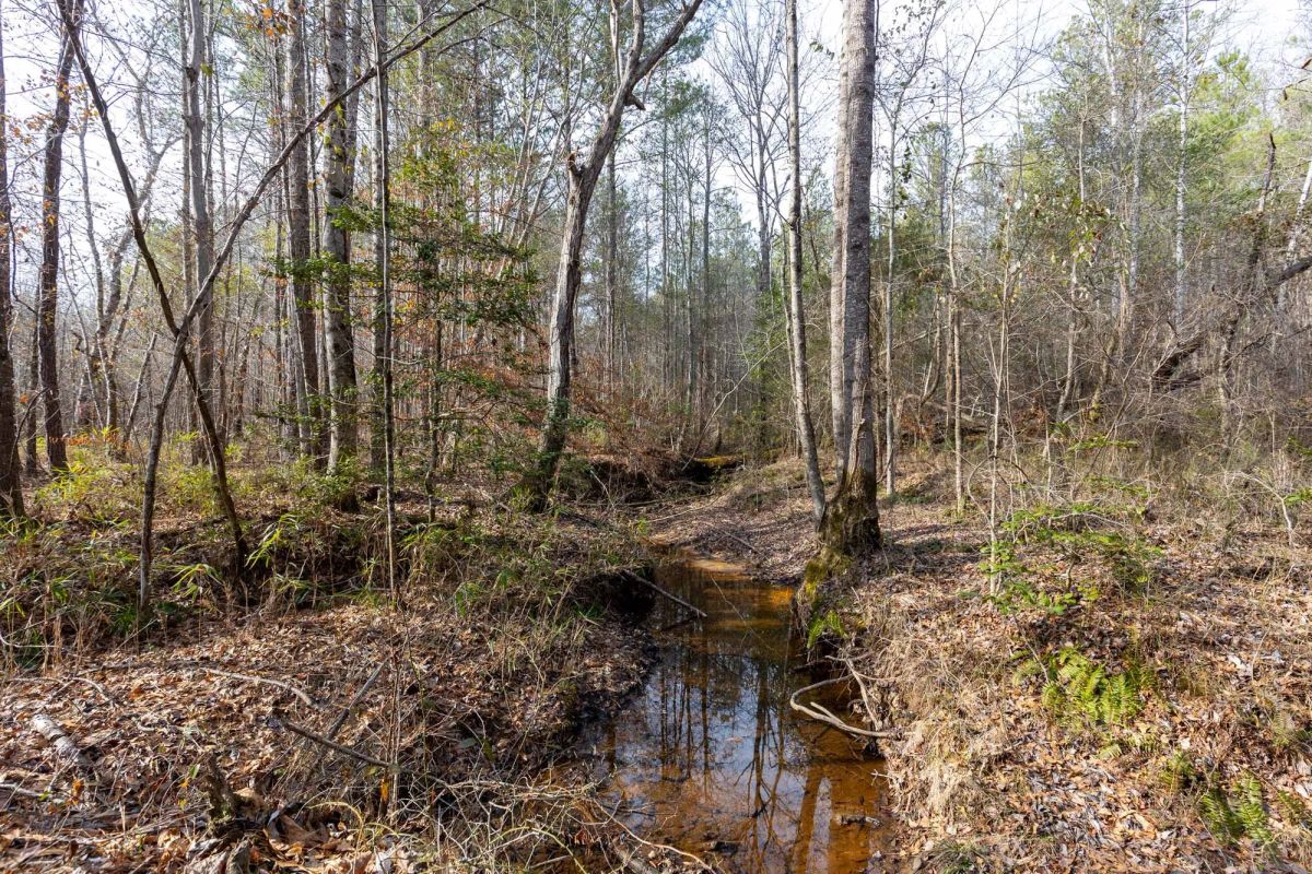 Baker Creek Tract 9 - Image 4