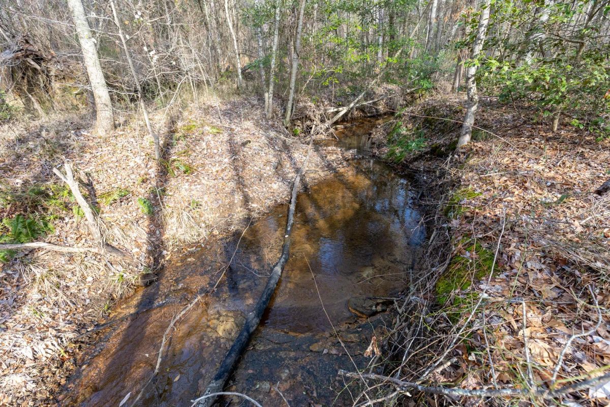 Decorative background for Baker Creek Tract 9 image 8