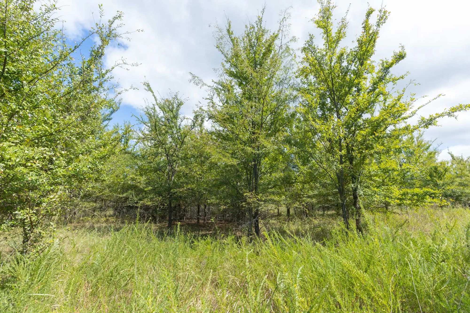 Reserves At Cattail Cove Phase II Tract 101 in Pittsburg County, OK