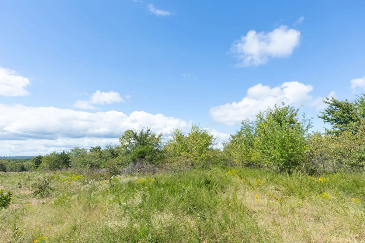 Decorative background for Reserves At Cattail Cove Phase II Tract 101 image 5
