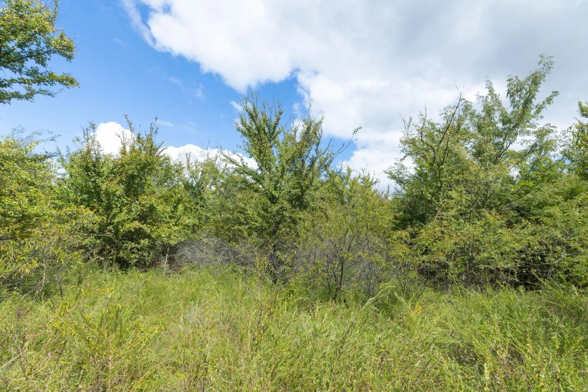 Decorative background for Reserves At Cattail Cove Phase II Tract 101 image 10