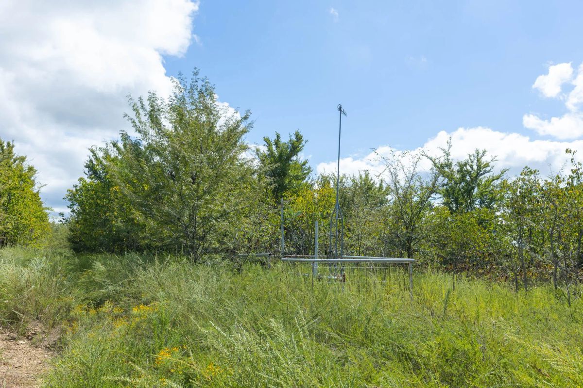 Decorative background for Reserves At Cattail Cove Phase II Tract 101 image 11