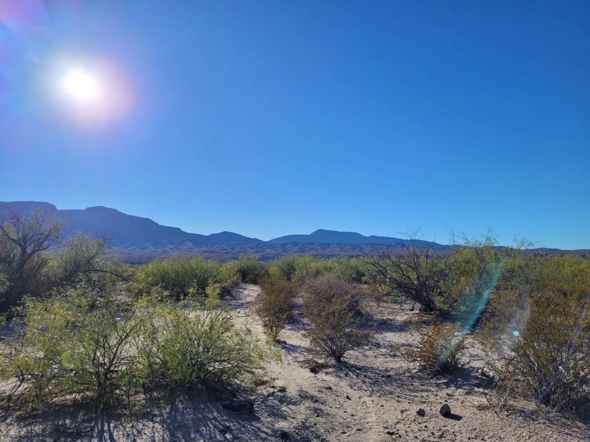 Decorative background for Vista Linda Canyon Tract 1 image 7