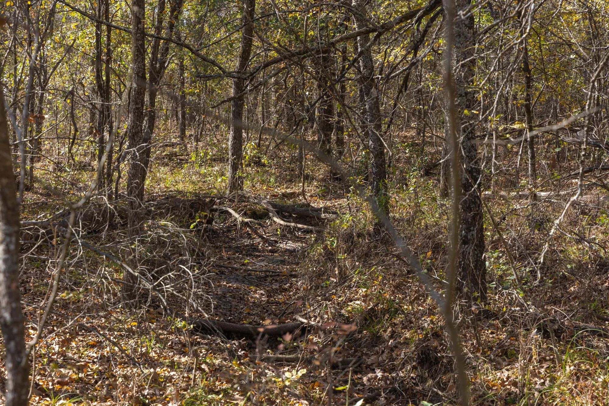 Harmony Hills Tract 39 in Pittsburg County, OK