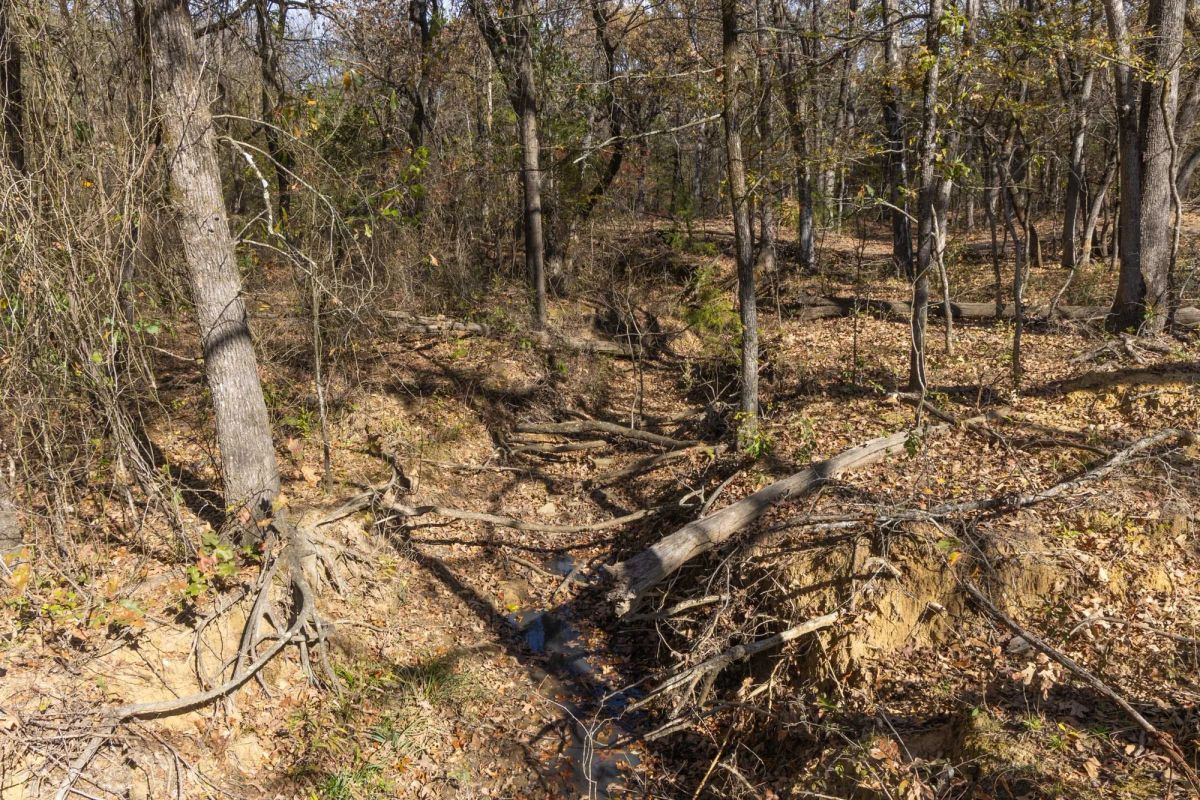 Decorative background for Harmony Hills Tract 39 image 5