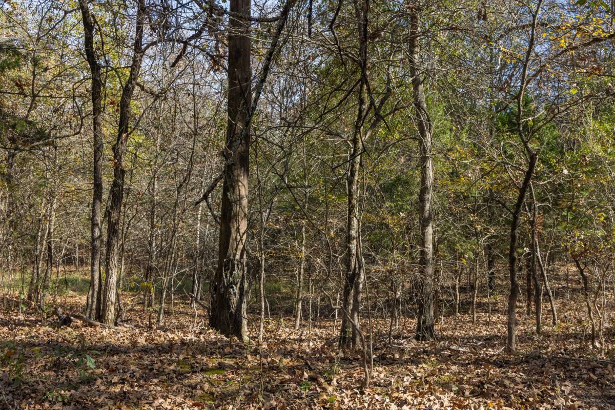Decorative background for Harmony Hills Tract 39 image 6