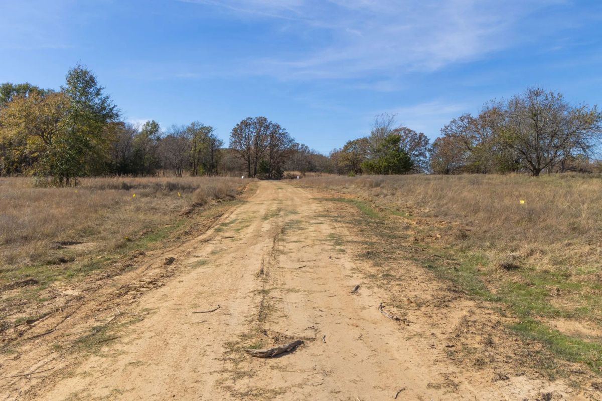 Decorative background for Harmony Hills Tract 39 image 10