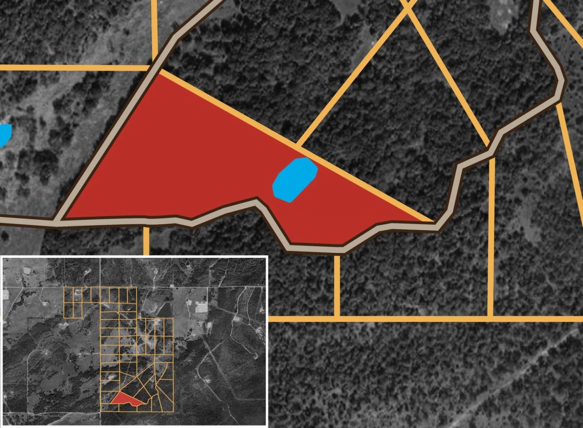 Decorative background for Harmony Hills Tract 39 image 14