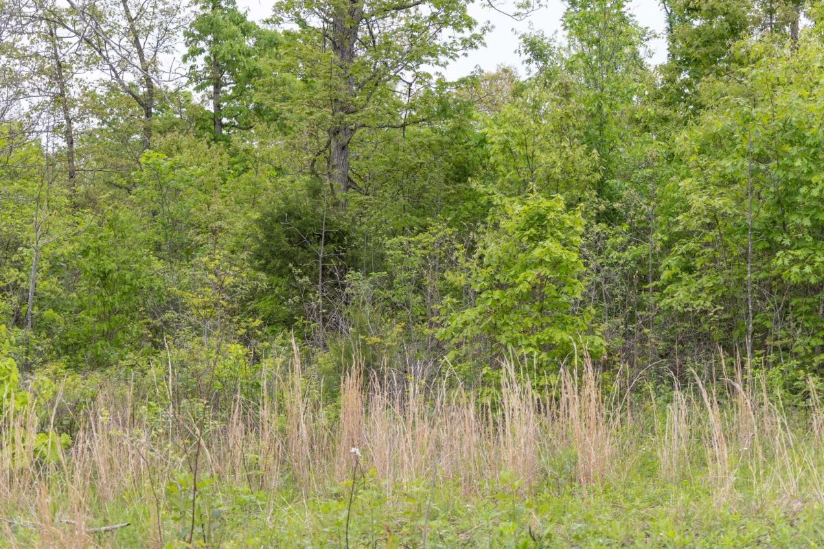Sleepy Hollow Phase II Tract 107 - Main image