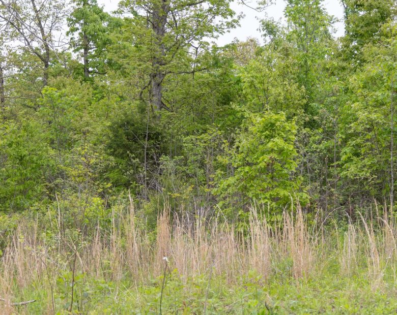 Sleepy Hollow Phase II Tract 107 in Texas County, MO