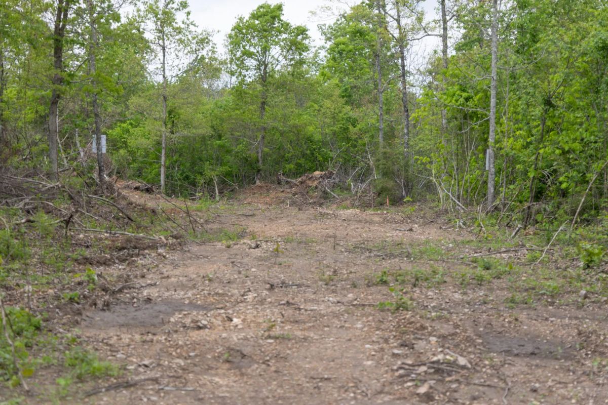 Sleepy Hollow Phase II Tract 107 - Image 2