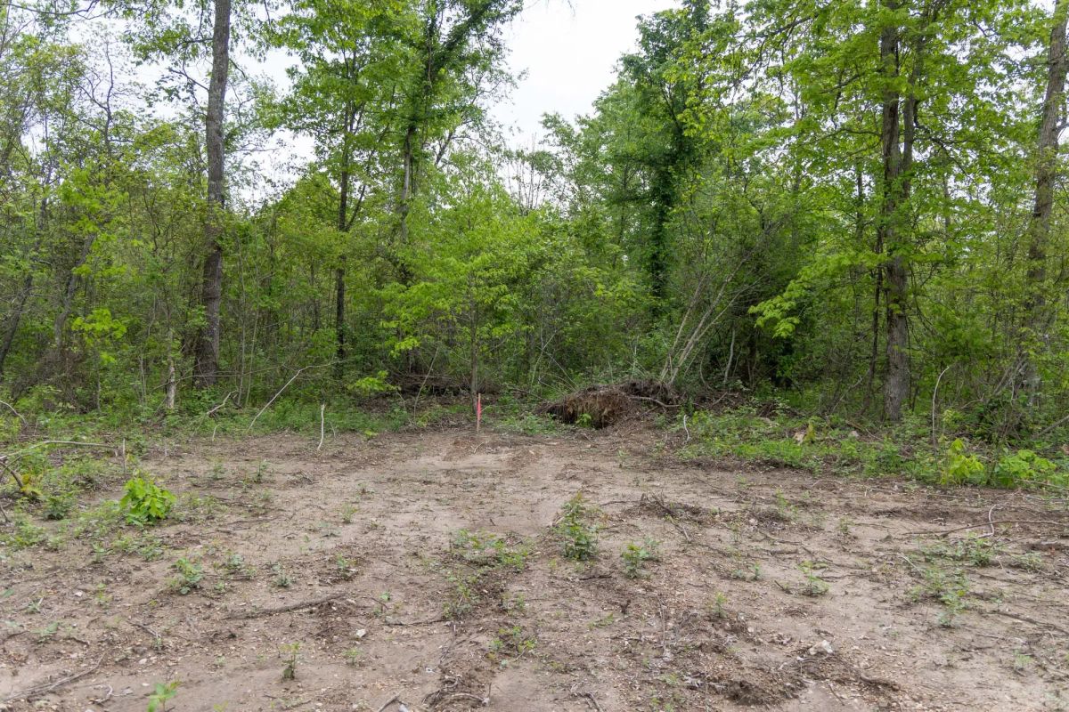 Sleepy Hollow Phase II Tract 107 - Image 3
