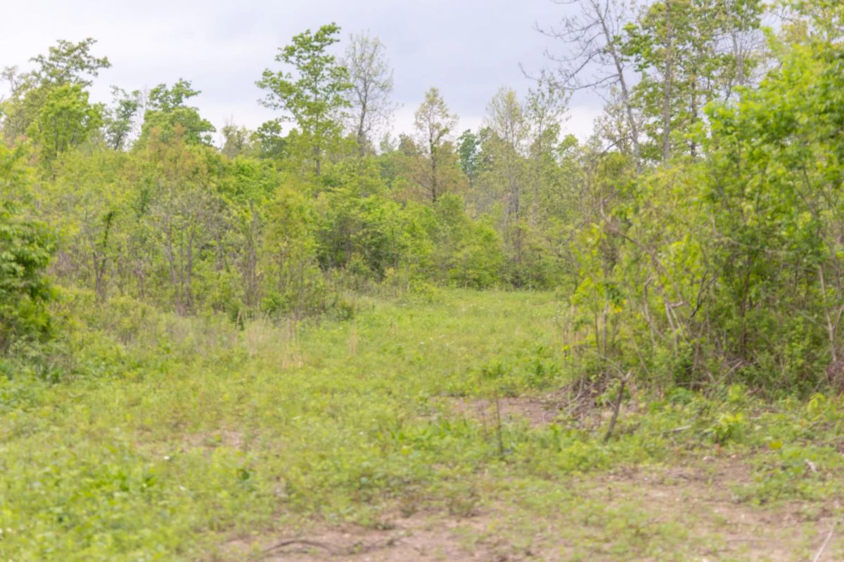 Sleepy Hollow Phase II Tract 107 - Image 4