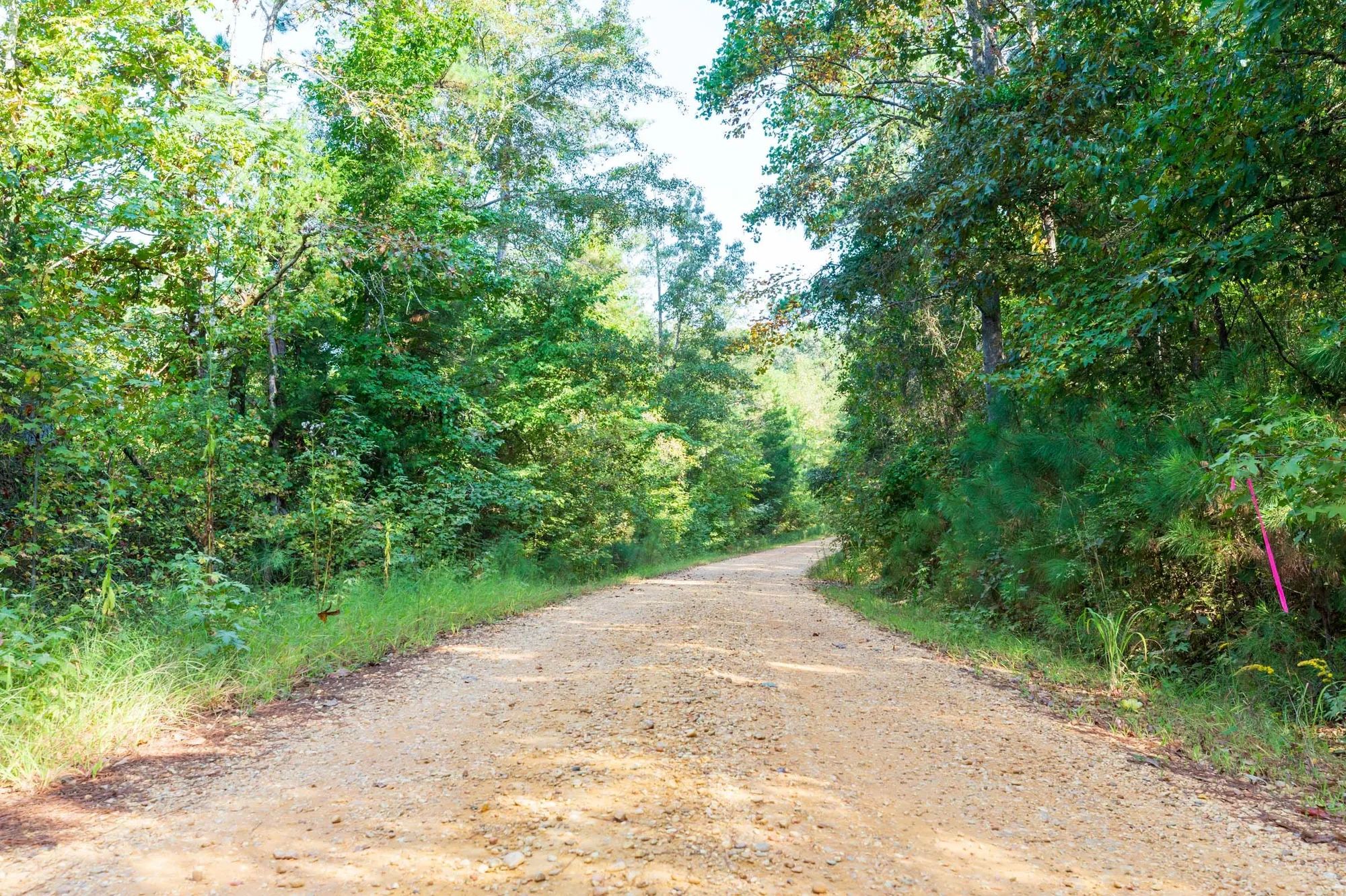Willow Grove Tract 6