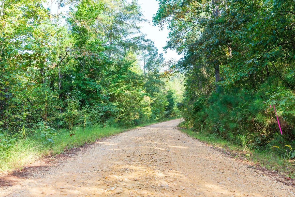 Willow Grove Tract 6 - Main image