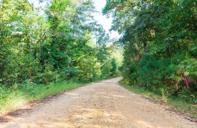 Willow Grove Tract 6