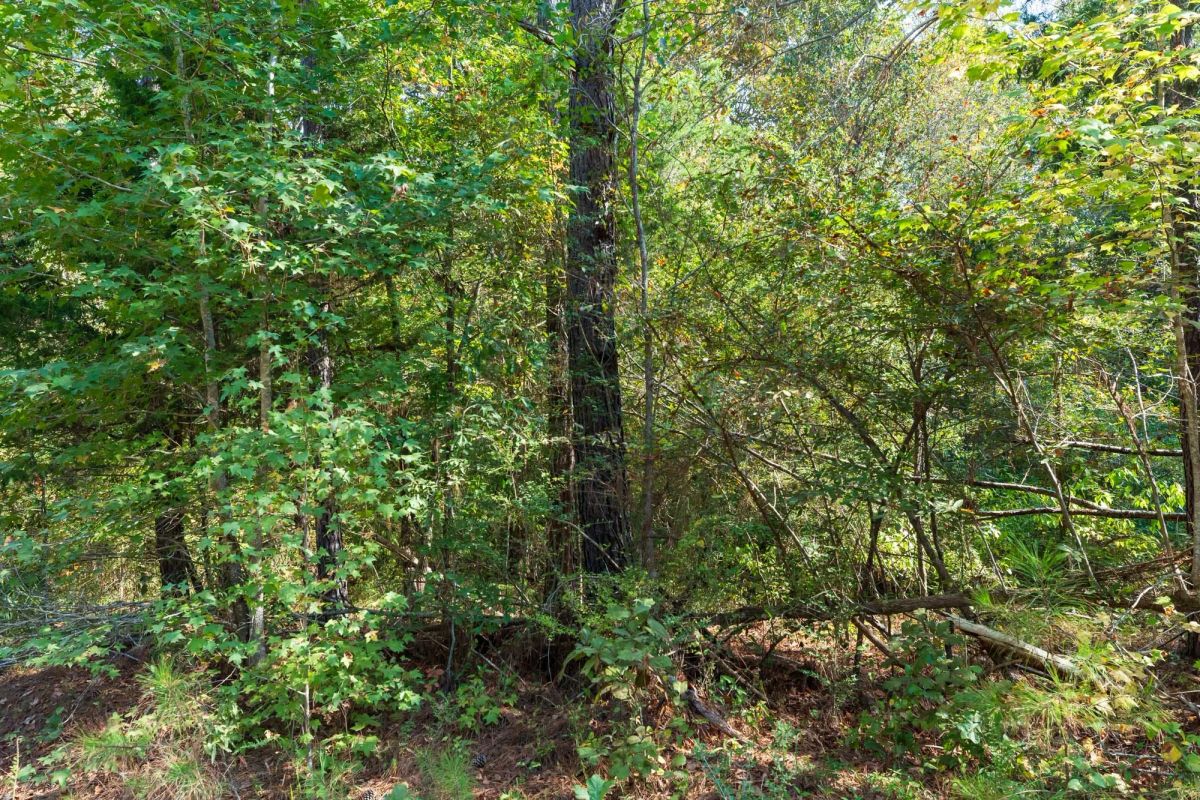 Willow Grove Tract 6 - Image 3