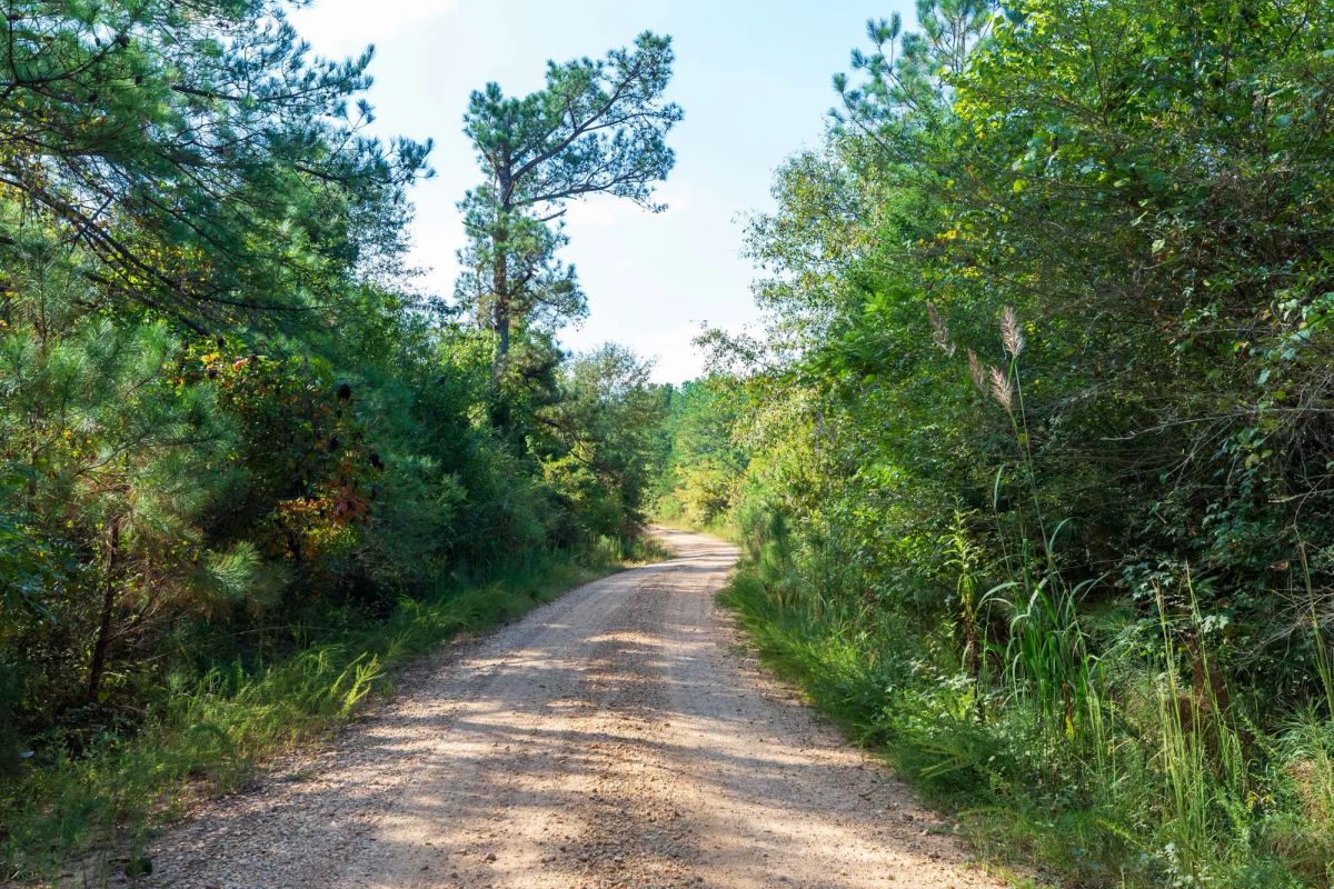 Decorative background for Willow Grove Tract 6 image 6