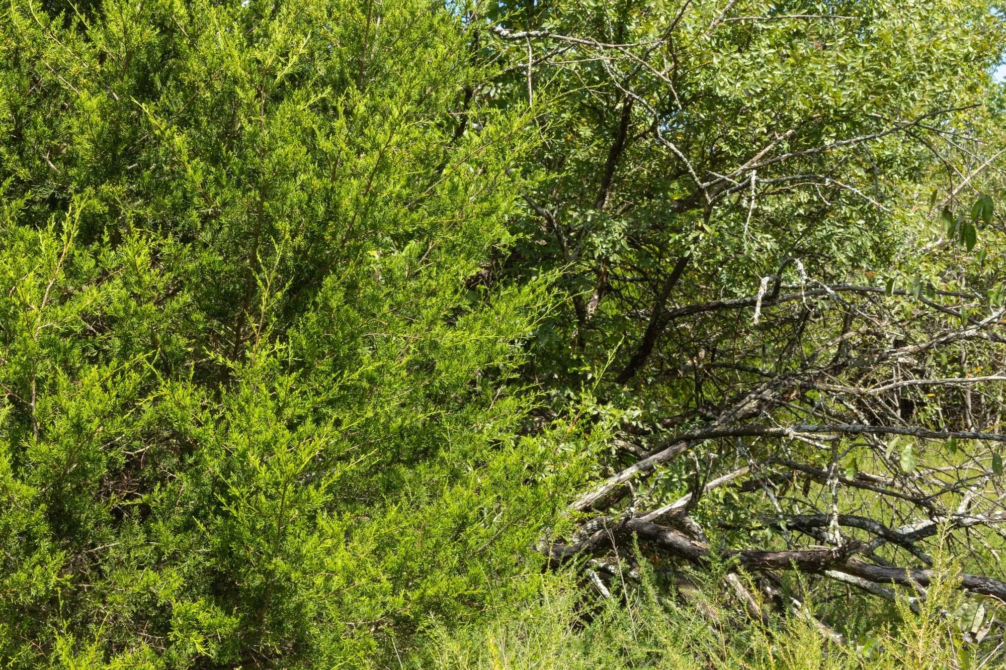 Reserves At Cattail Cove Phase II Tract 64 in Pittsburg County, OK