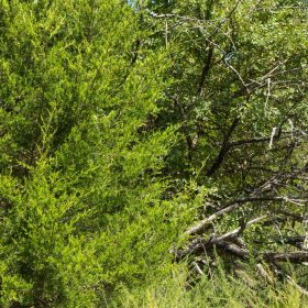 Reserves At Cattail Cove Phase II Tract 64 in Pittsburg County, OK