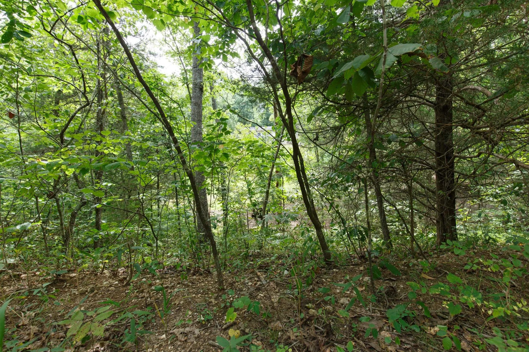 Spring Lake Plat 5 Tract 298 in Miller County, MO