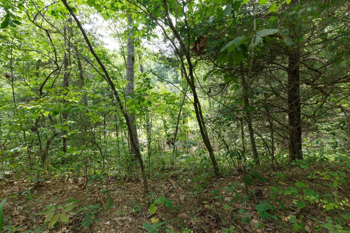 Spring Lake Plat 5 Tract 298 - Main image