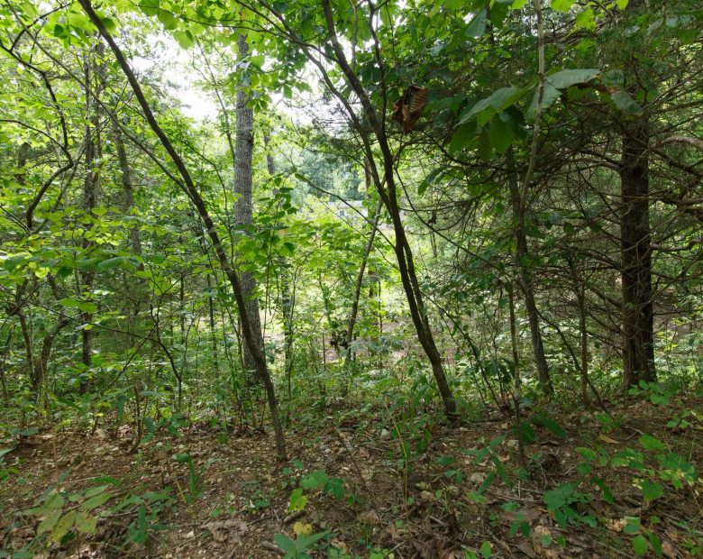 Spring Lake Plat 5 Tract 298 in Miller County, MO